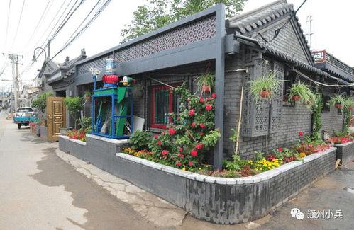 幻影忍者最新杂志爆料2025,未来忍者世界的神秘面纱  第1张